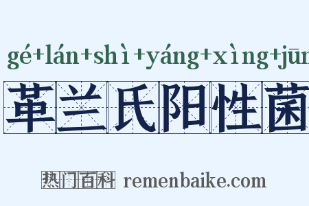 革兰氏阳性菌是什么意思的图片